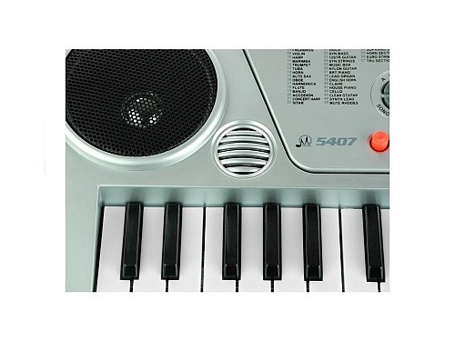 Electronic Keyboard 54-Key Harmonium with Autotune  63x23x7 cm