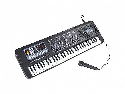 Electronic Keyboard Harmonium 61 Keys with Auto Tunes, 54x17x6cm